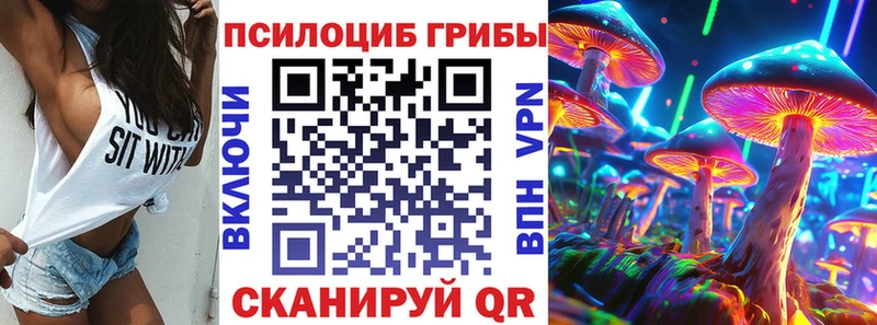 МЕГА   Жуковка  Псилоцибиновые грибы Cubensis 